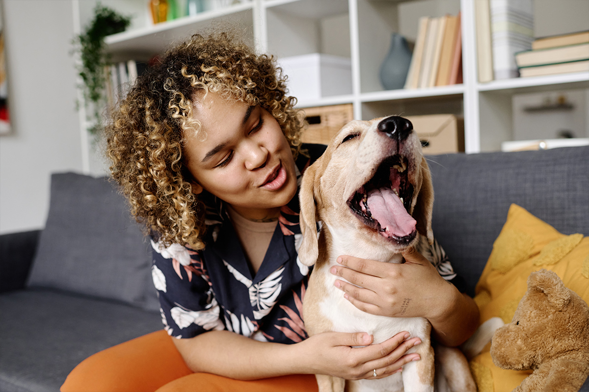 hire a pet sitter in flowers cleaning