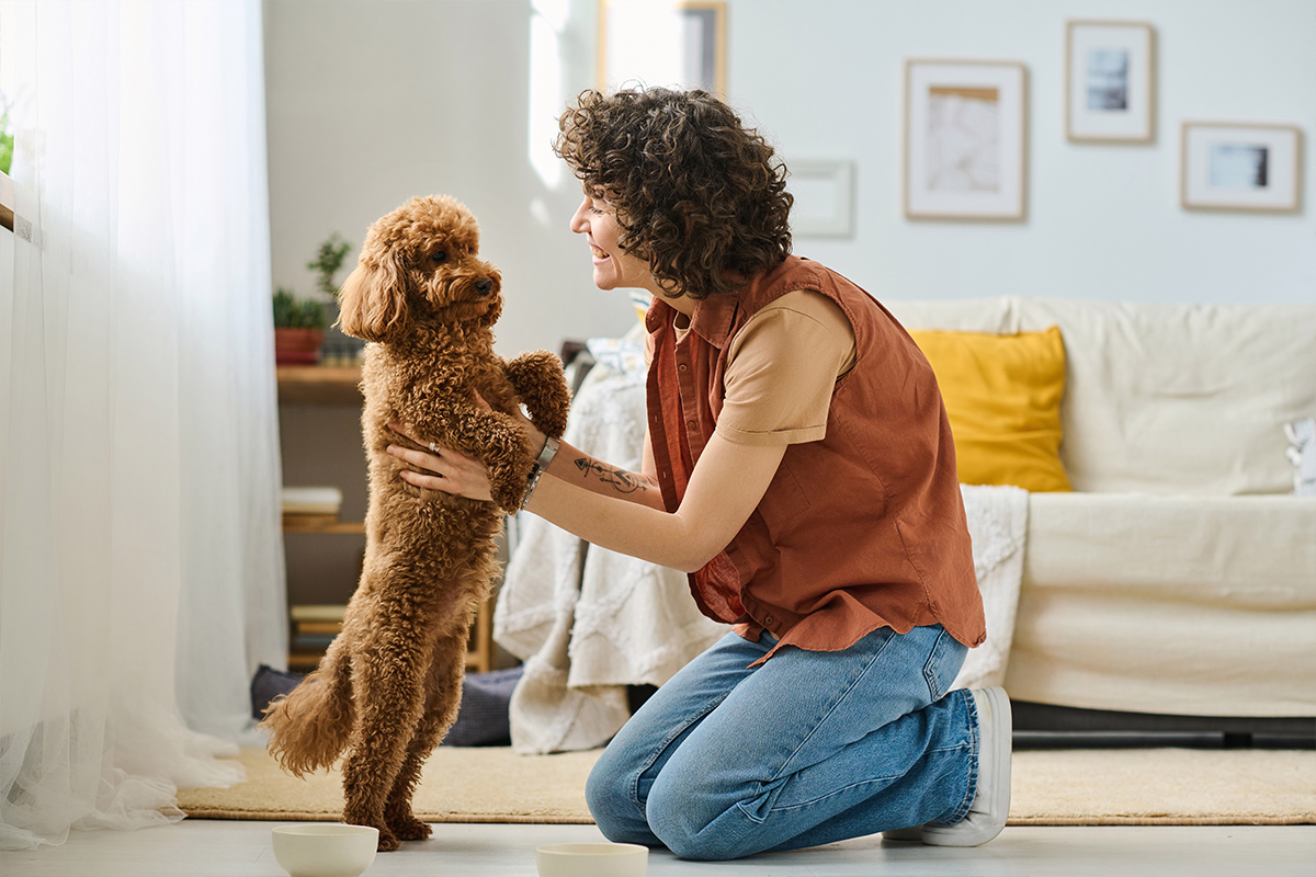 10 Reasons to Hire a Pet Sitter