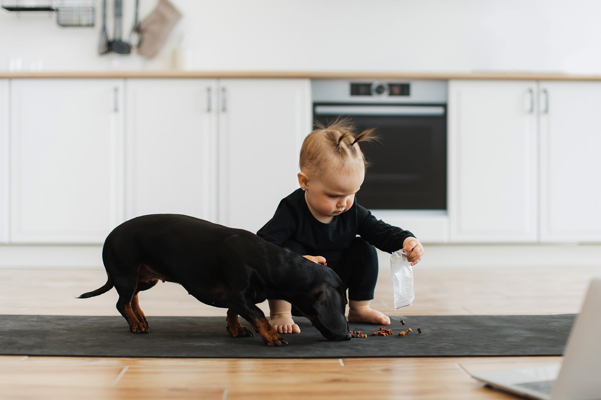 baby-and-furry-sitting-service